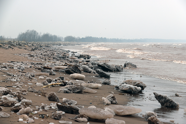 Schafer Beach